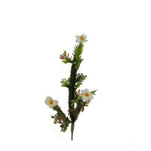 Euphorbia 3 rami con fiori