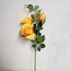 Rosa inglese 3 fiori giallo