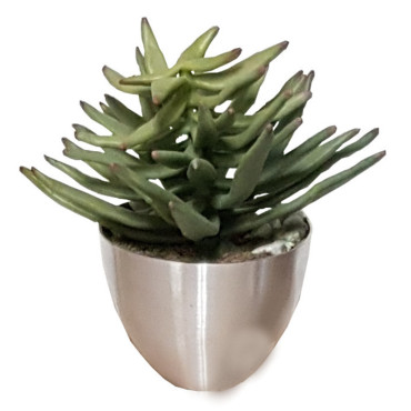 Succulent in vaso alluminio