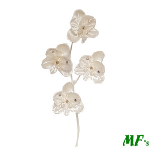 Phalaenopsis pick cm. 35 crema