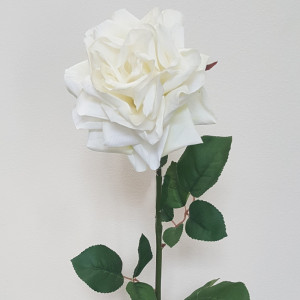Rosa singola cm. 80