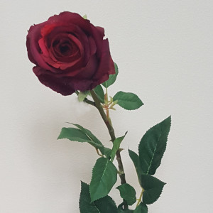 Rosa singola cm. 90