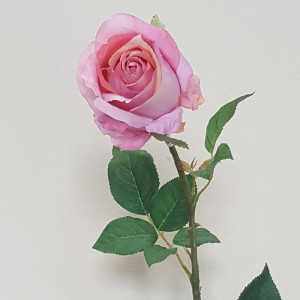 Rosa singola cm. 90 rosa