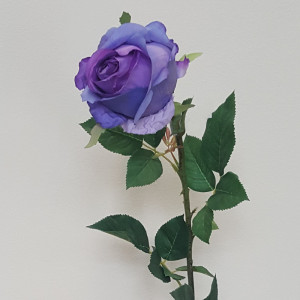 Rosa singola cm. 90 viola