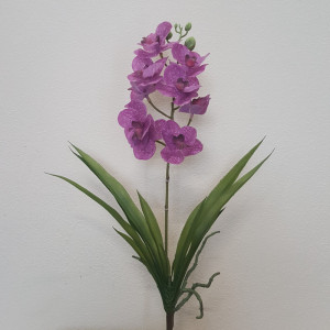 SV-Vanda pianta con foglie cm.45 lilla