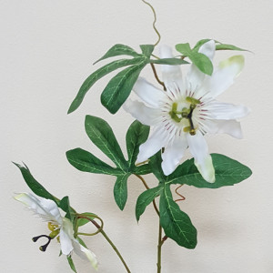 Passiflora 3 fiori cm.80 bianco