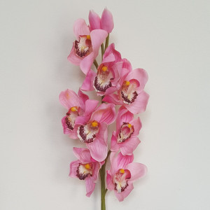 Cymbidium 10 fiori cm.79 rosa
