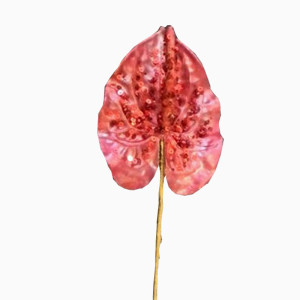 Anthurium paillettes rosso