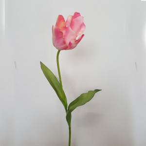 Tulipano singlo cm.76 rosa