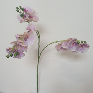 Phalaenopsis 3 rami cm.86 rosa chiaro