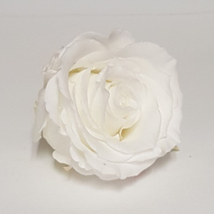 Rosa preservata standard white (pz.6)