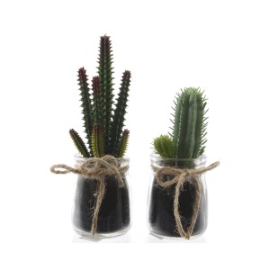 Cactus in vetro h.13 ass (pz.24)