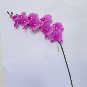 Phalaenopsis gommato 9 fiori fuxia cm. 95