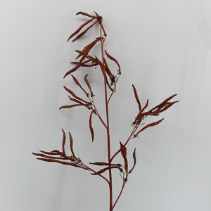 Twisted ramo cm.120 rosso