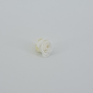 Rosa preservata d.03 bianco (pz.16)