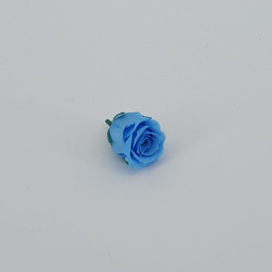 Rosa preservata d.03 azzurro (pz.16)