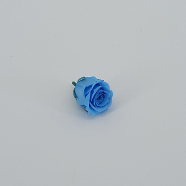 Rosa pres. d.03 princess azzurro (pz.16)