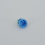 Rosa preservata d.03 azzurro (pz.16)