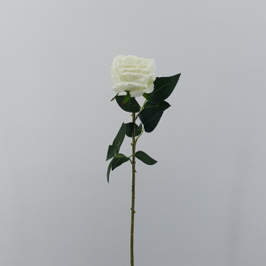 Rosa velluto cm.76 bianco