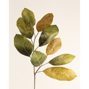 Magnolia fogliaggio cm.90 green-yellow