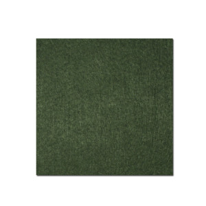 Feltro 2 mm. 30x30 verde scuro (pz.10)
