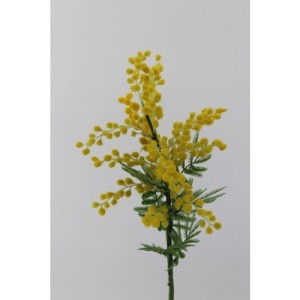Mimosa cm.74 giallo