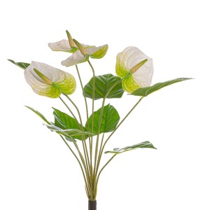 Anthurium mazzo 12 bami bianco