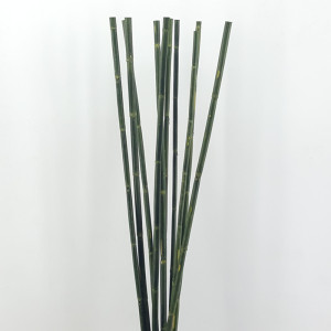 Bamboo canna cm. 100