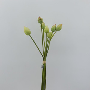 Water lily bundle 7 fiori verde-crema