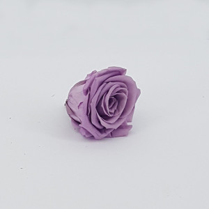 Rosa preservata Standard lilac (6 pz.)