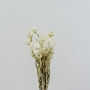 Caplume mazzo bianco (gr.35)