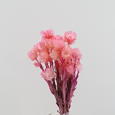 Caplume mazzo rosa (gr.35)