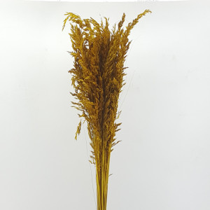 Salicchio colorato gr.250 giallo