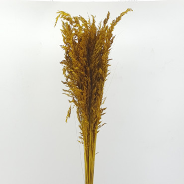 Salicchio colorato giallo (gr.250)