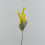 Mimosa cm.57 giallo