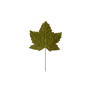 Acero foglia cm.23 verde (pz.4)