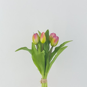 Tulipano bundle 6 fiori fuxia