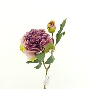 Peonia cm.48 lilac