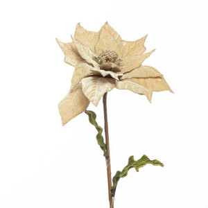 Poinsettia ramo cm.73 beige