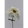 Poinsettia cm.61 bianco