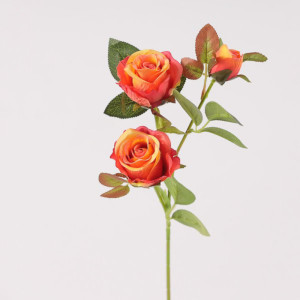 Rosa ramo cm.57 arancio