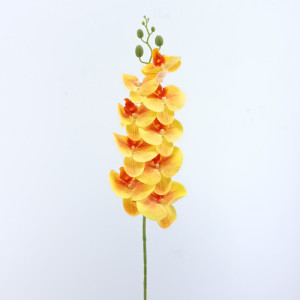 Phalaenopsis cm.98 giallo