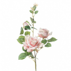 Rosa ramo cm.80 rosa