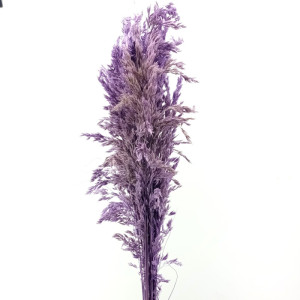 Salicchio colorato viola (gr.250)