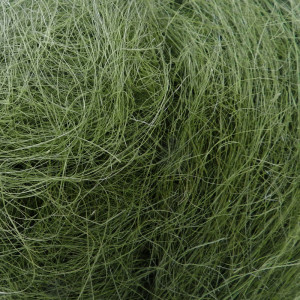 Sisal verde muschio (gr.400)
