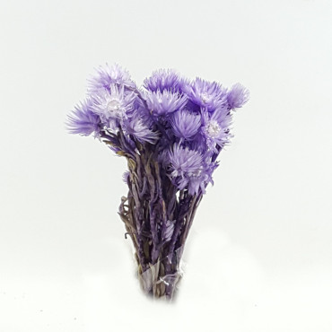 Caplume mazzo lilla (gr.35)