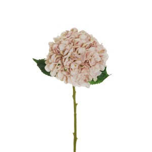 Ortensia ramo cm.50 rosa