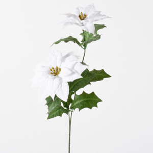 Poinsettia ramo cm.58 bianco