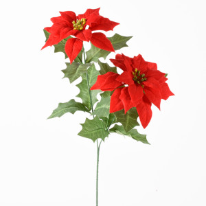 Poinsettia ramo cm.58 rosso