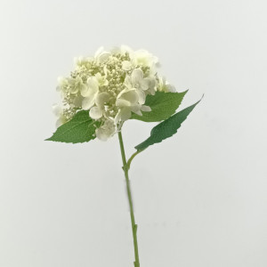 Ortensia ramo cm.53 bianco